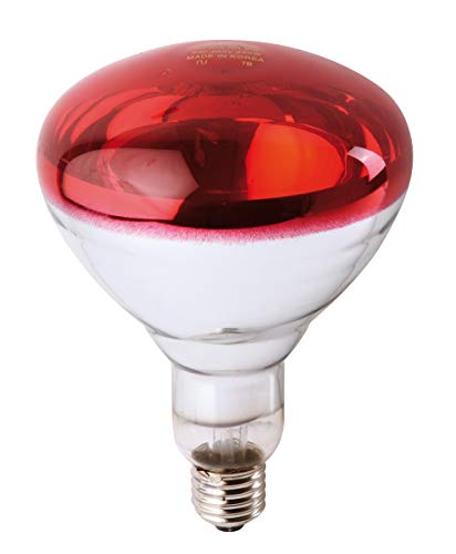 Philips Infrared Industrial Lámpara Reflectora Incandescente de...