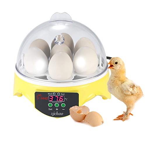 Incubadora automática ZJchao para 7 huevos con control de temperatura...