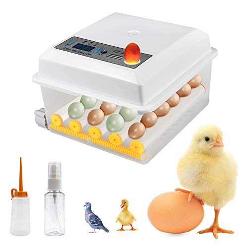 Incubadora digital de huevos, 16/24 huevos, incubadora automática para uso...