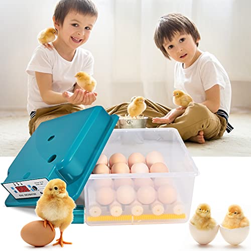 TTLIFE Incubadora de huevos, incubadoras de huevos eléctricas dobles...