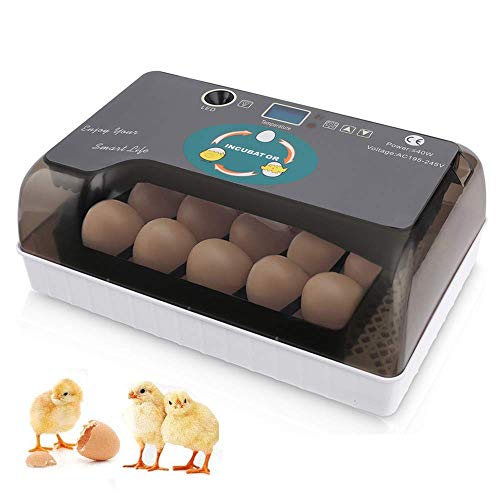 Incubadora Automática de 12 Huevos con Pantalla Digital con iluminación...
