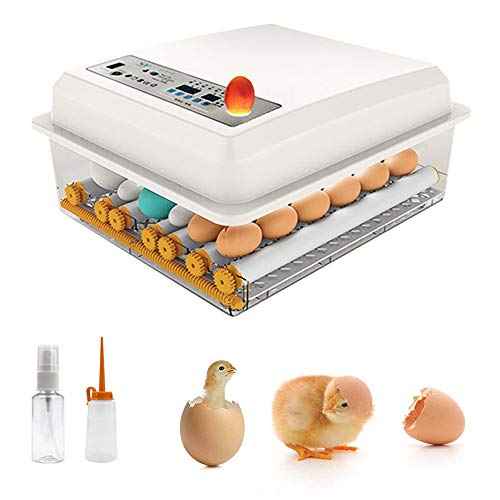 InLoveArts Incubadora de Huevos con volteo y eclosión automáticos,...