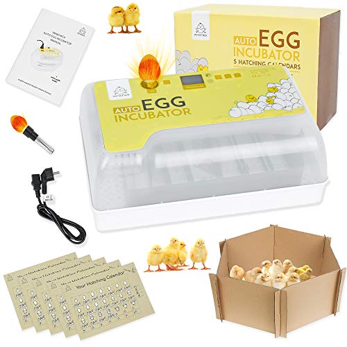 MINICHICK Incubadora digital totalmente automática de huevos gallina con...