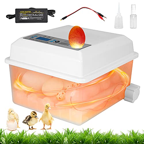 GJCrafts Incubadora de huevos automática para 16 huevos con volteador...