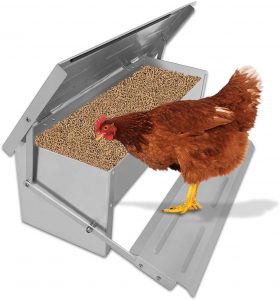 comedero automaticas gallinas